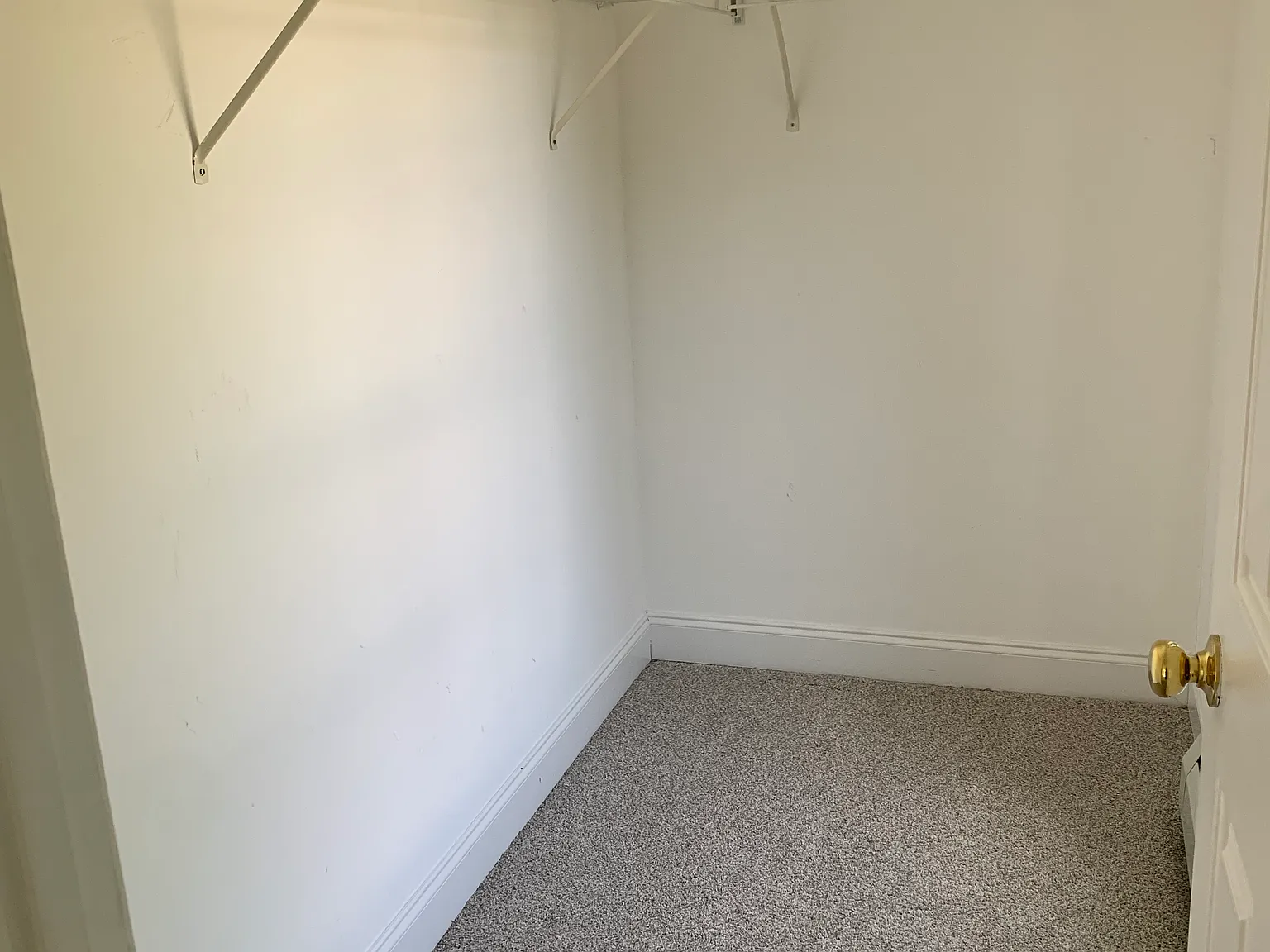1 bed, 800 sqft, $1,495 — Photo 3