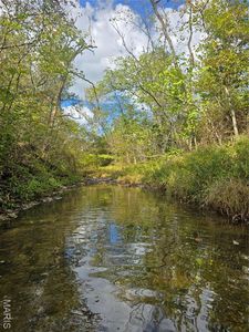 50 Acres Hwy E, Cadet, MO, 63630