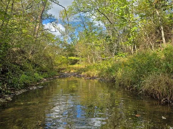 50 Acres Hwy E, Cadet, MO 63630