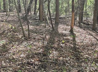 LOT 172 W Lake Dr N, Lake Lure, NC 28746