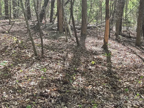 LOT 172 W Lake Dr N, Lake Lure, NC 28746