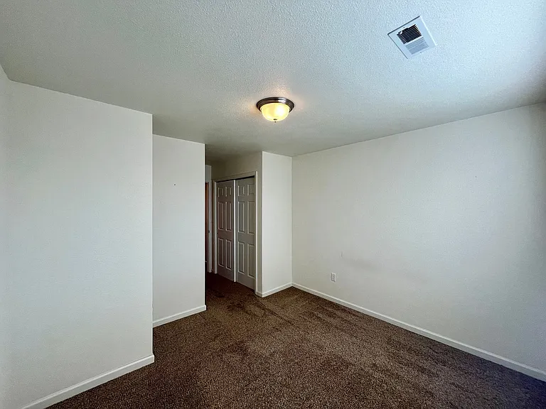 3115 Swan Point Dr — Photo 16