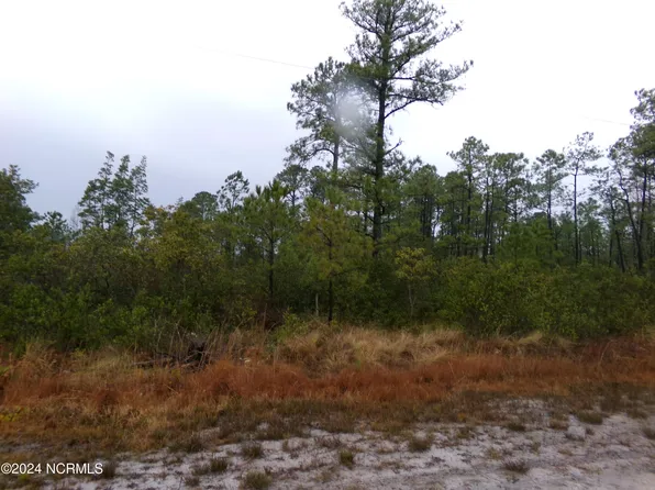 Lot 185 Hunters Road, Boiling Spring Lakes, NC 28461