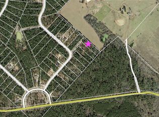 142 Dedication Trl, Huntsville, TX 77340