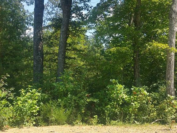 2nd image of 20 Lark Dr #1