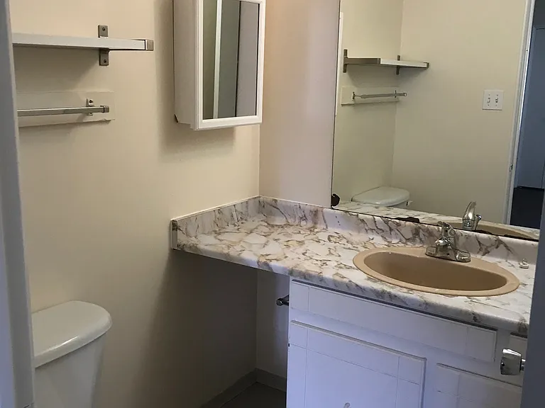 1745 W 12th Ave #310 — Photo 12