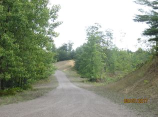 Lost Lake Rd, Hawks, MI 49743