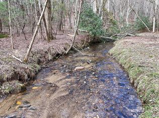 LOT-45B Synacia Dr, Mineral Bluff, GA 30559