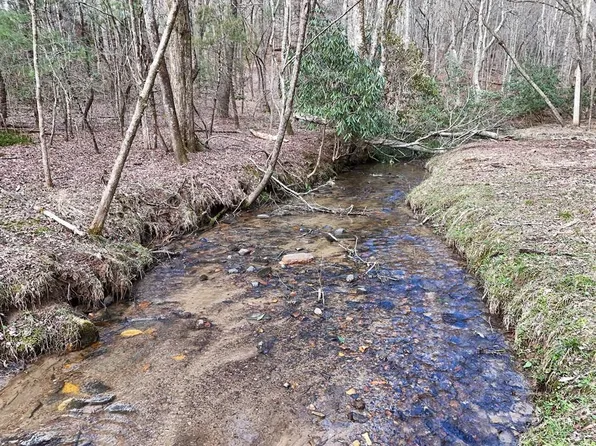 LOT-45B Synacia Dr, Mineral Bluff, GA 30559