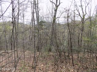 Par 1.08 Mountain Shadow Way, Cosby, TN 37722