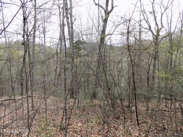 Par 1.08 Mountain Shadow Way, Cosby, TN 37722