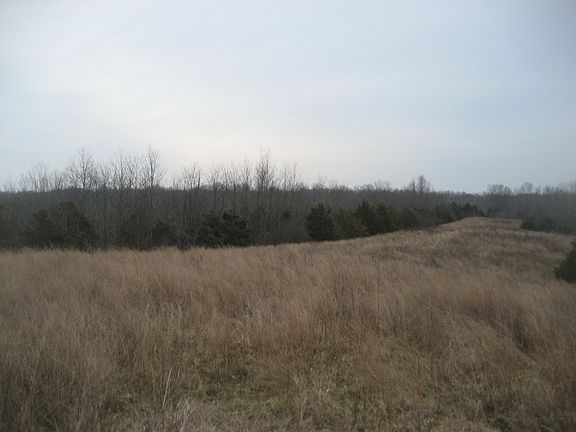 4th image of 1234 Rutherford School Rd