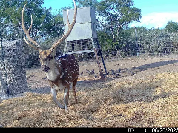 32 Ginger Lee Loop #Del, Del Rio, TX 78840