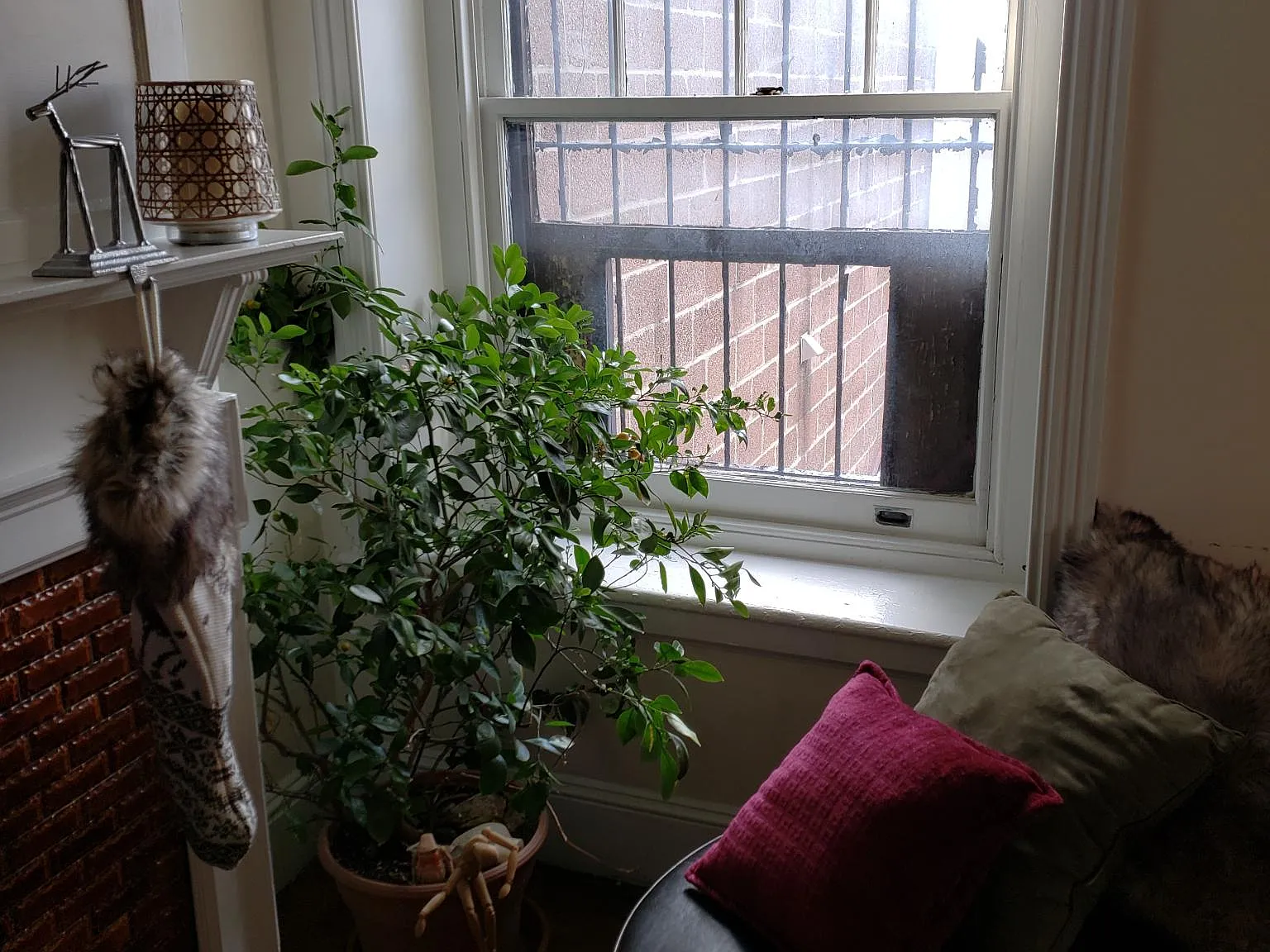 1 bed, 962 sqft, $1,895 — Photo 4