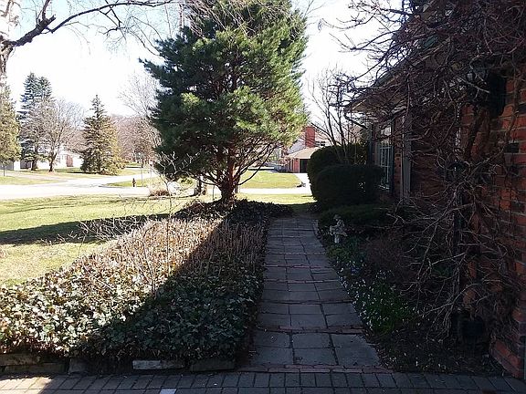 5th image of 31231 Berryhill St