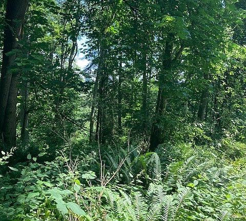 5th image of 46 NE Felicity Lane