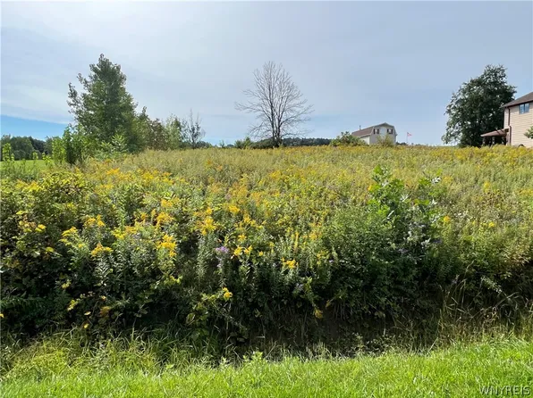 4381 Mary Dr, Eden, NY 14057