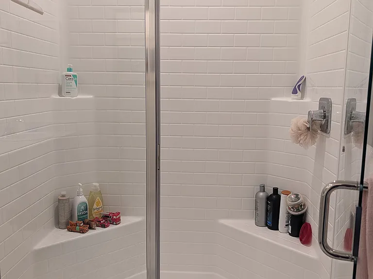Master walk-in shower