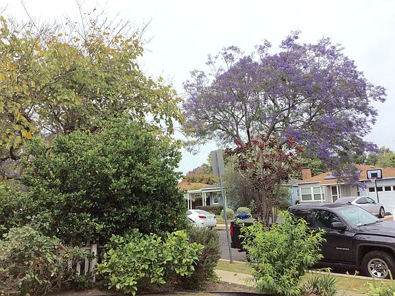 2nd image of 2551 Barry Ave