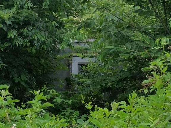 2nd image of 4919 Floyd Hwy S
