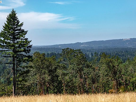 4th image of 28797 SW Petes Mountain Rd
