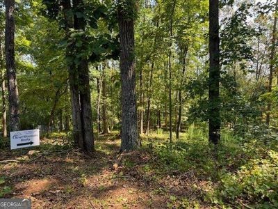 42 Kitchen Way E, Dahlonega, GA, 30533