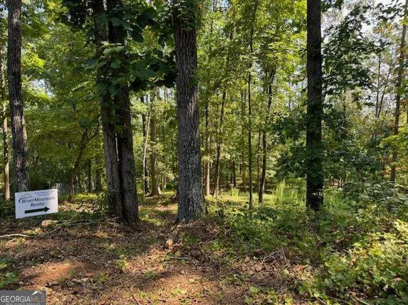 42 Kitchen Way E, Dahlonega, GA 30533