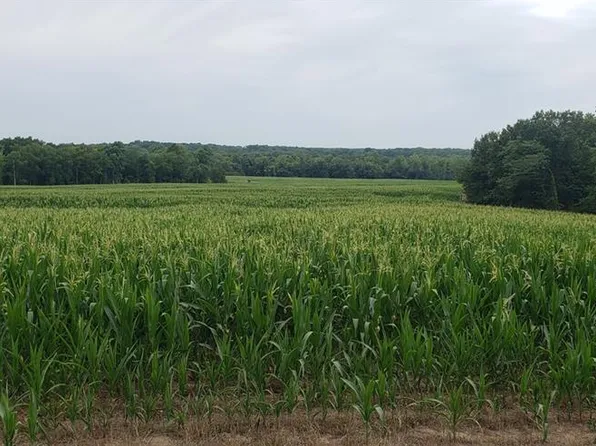 Monroe Road & 117 Roads, Madison, MO 65263