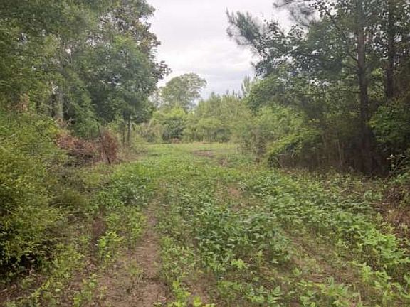 3rd image of 0 Sealy Wells Rd Lot 3