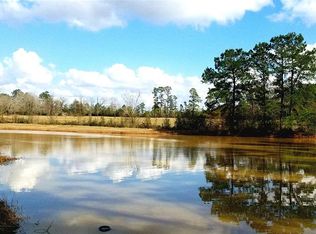 701 Pauline Rd, Cleveland, TX 77328