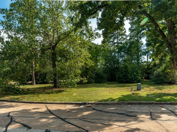 15 Stanford Ct, Montgomery, TX 77356