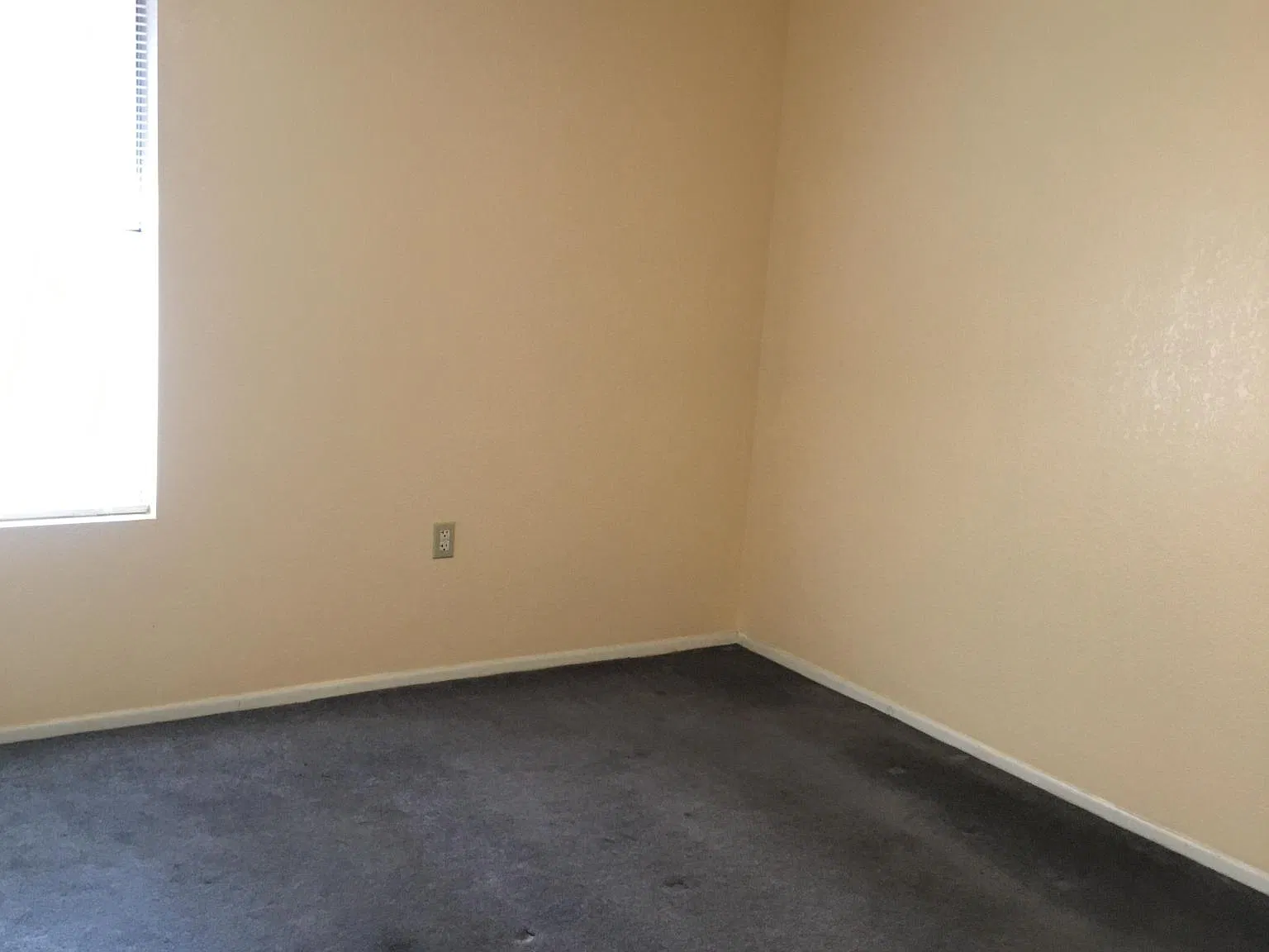 3 bed, 1785 sqft, $2,200 — Photo 4