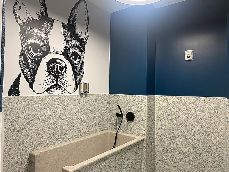 pet wash