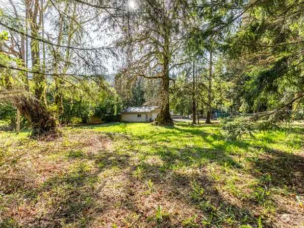 0 Palomino Lane, Brinnon, WA 98320