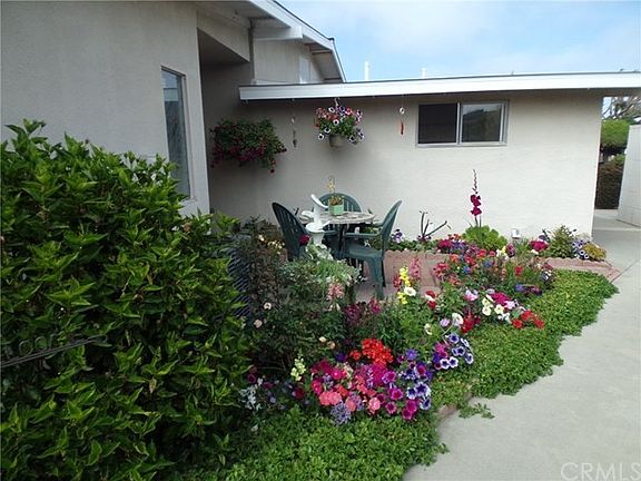Another View of Garden