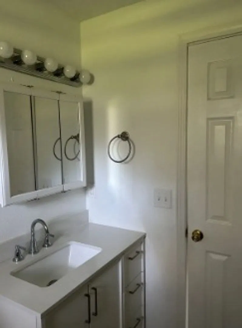 1/1 newly renovated duplexes located on a Spring in Lake Panasoffkee — Photo 1