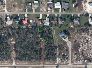 117 Beech Ct NW, Lake Placid, FL 33852