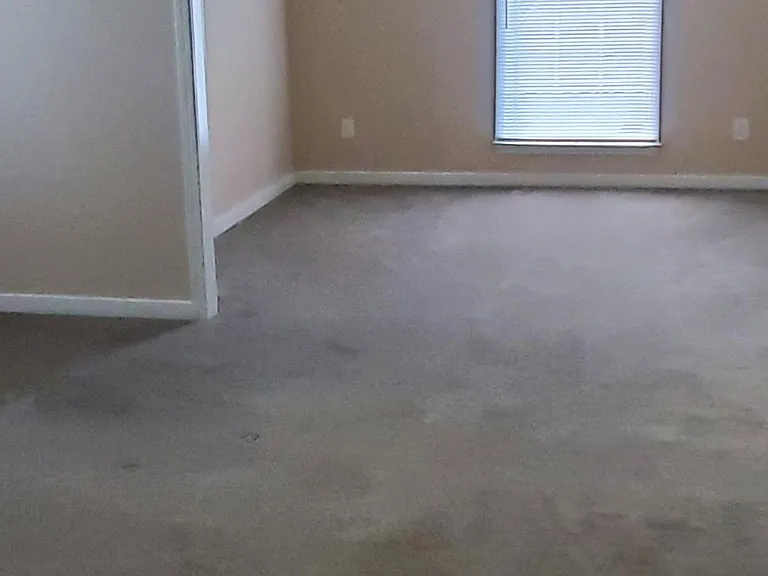 LARGE OWNER SUITE WITH TRAY CEILING AND SITTING ROOM