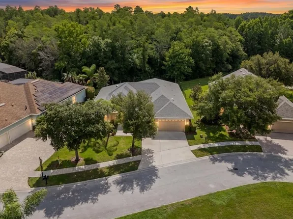 14834 MAN O WAR DRIVE, ODESSA, FL 33556