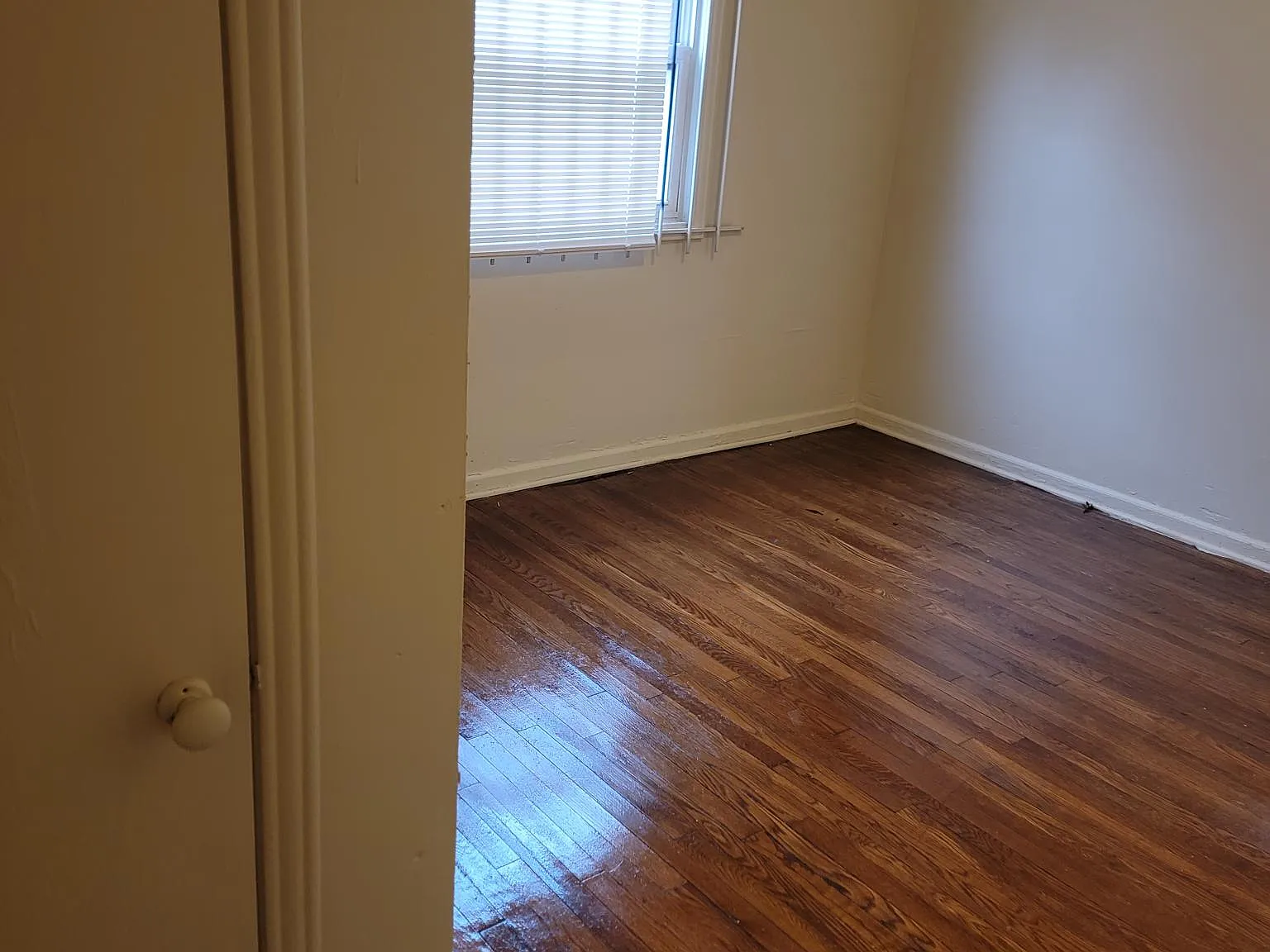 3 bed, 899 sqft, $1,300 — Photo 3