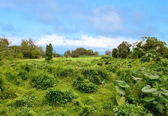 3rd image of LOT 43 Lot 43