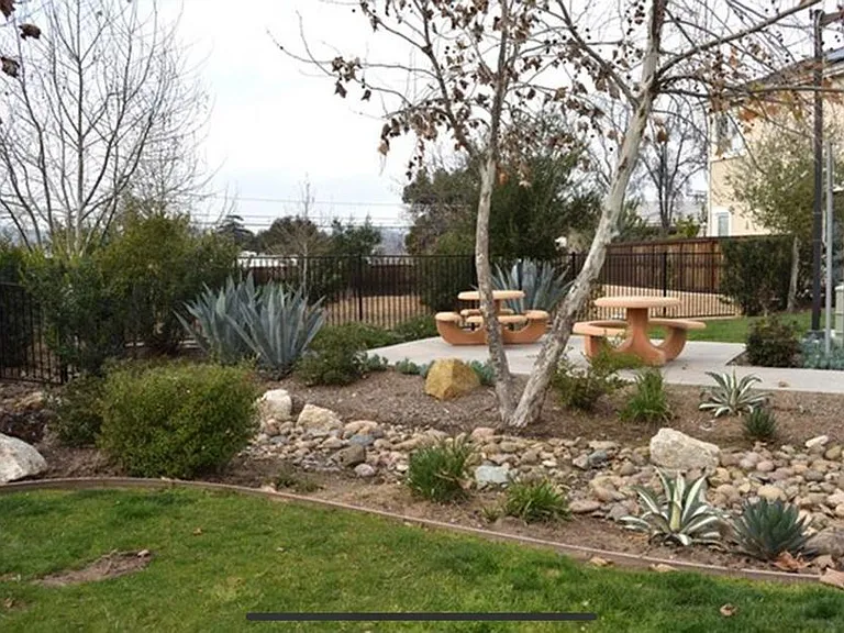 11801 Caminito Rihely — Photo 20
