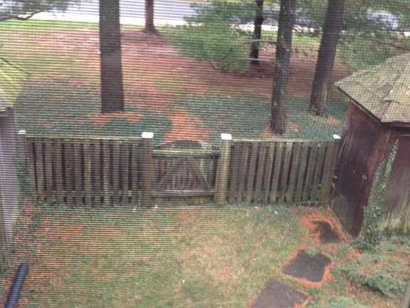 Backyard from Bedroom #2