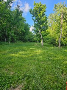 1-A Saltwell Rd, Carlisle, KY, 40311