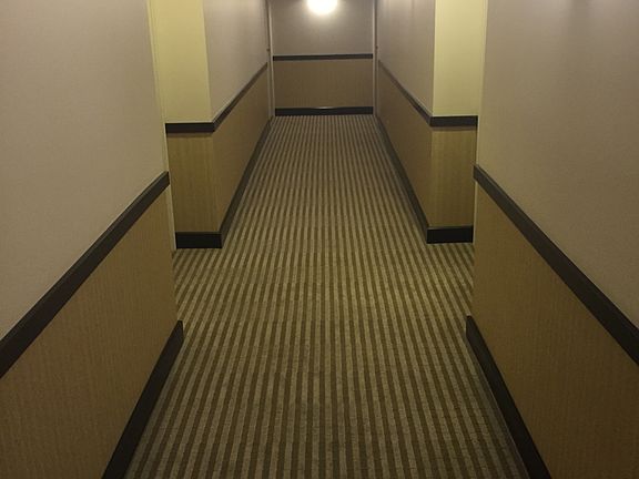 Renovated Hallways