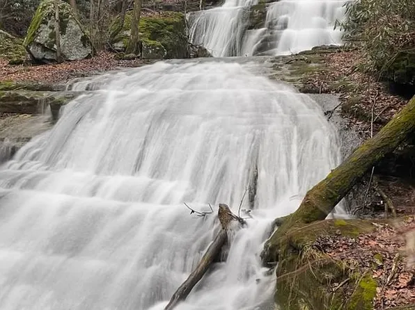 575 Dumpling Run Rd, Moorefield, WV 26836