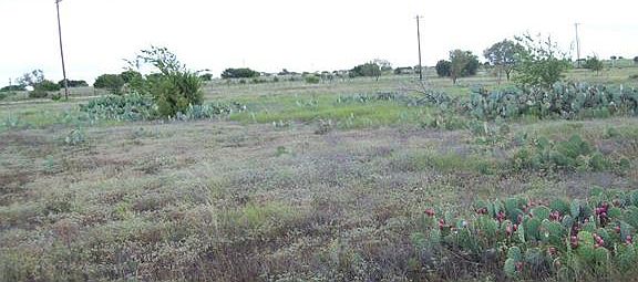 4th image of 11851 Fm 963