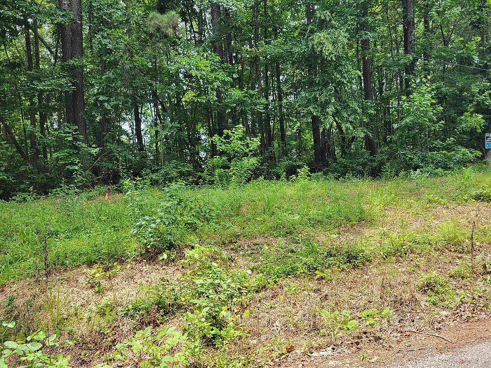 2nd image of LOT 21 And 22 Co Rd #199