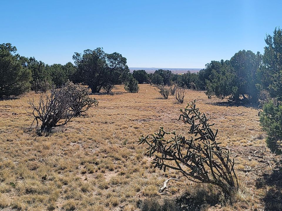 2nd image of 6 Valle Grande Sur