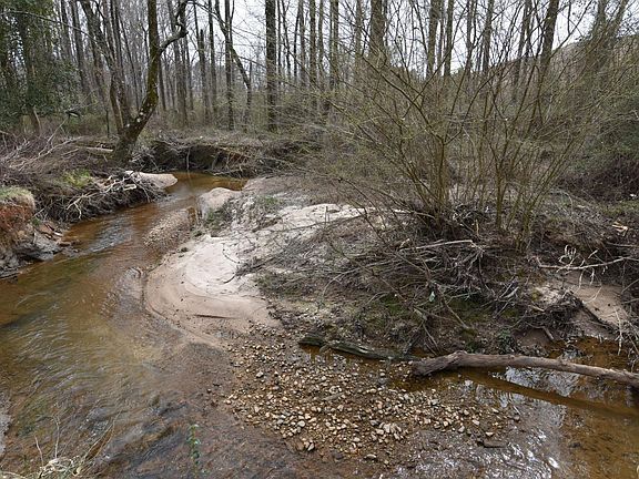 Creek at the very back of the property